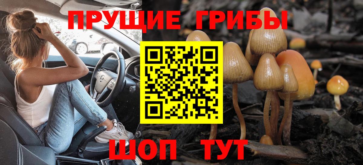 Галлюциногенные грибы прущие грибы Белогорск